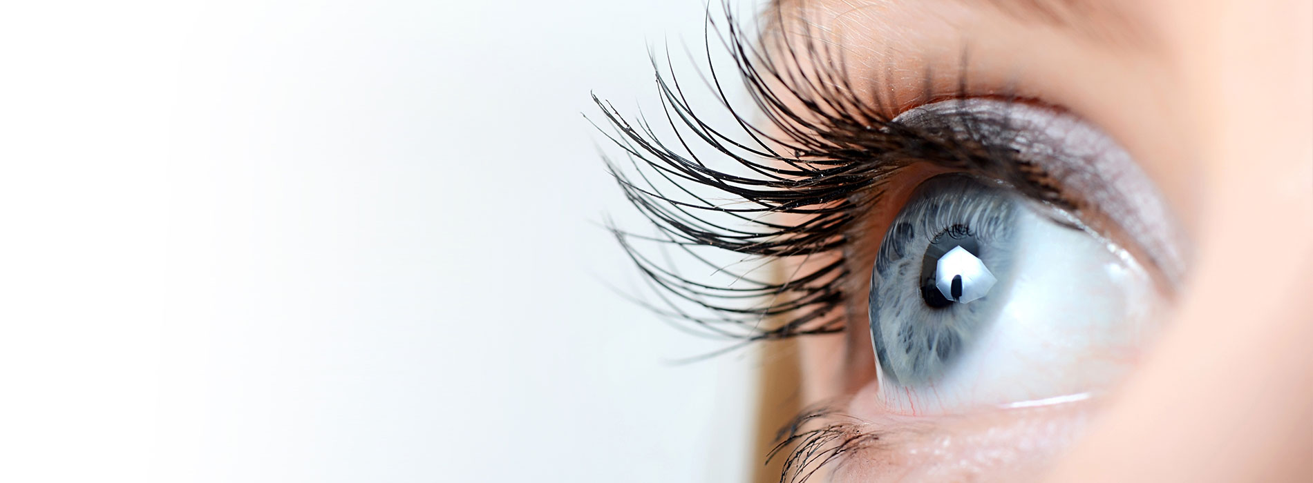 Eye Gallery Syracuse UT