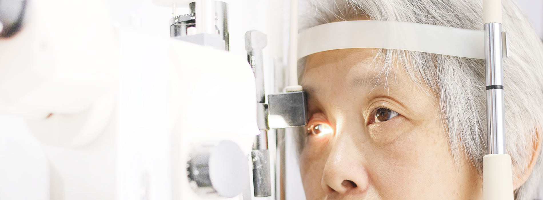 Layton New Ophthalmology Patients