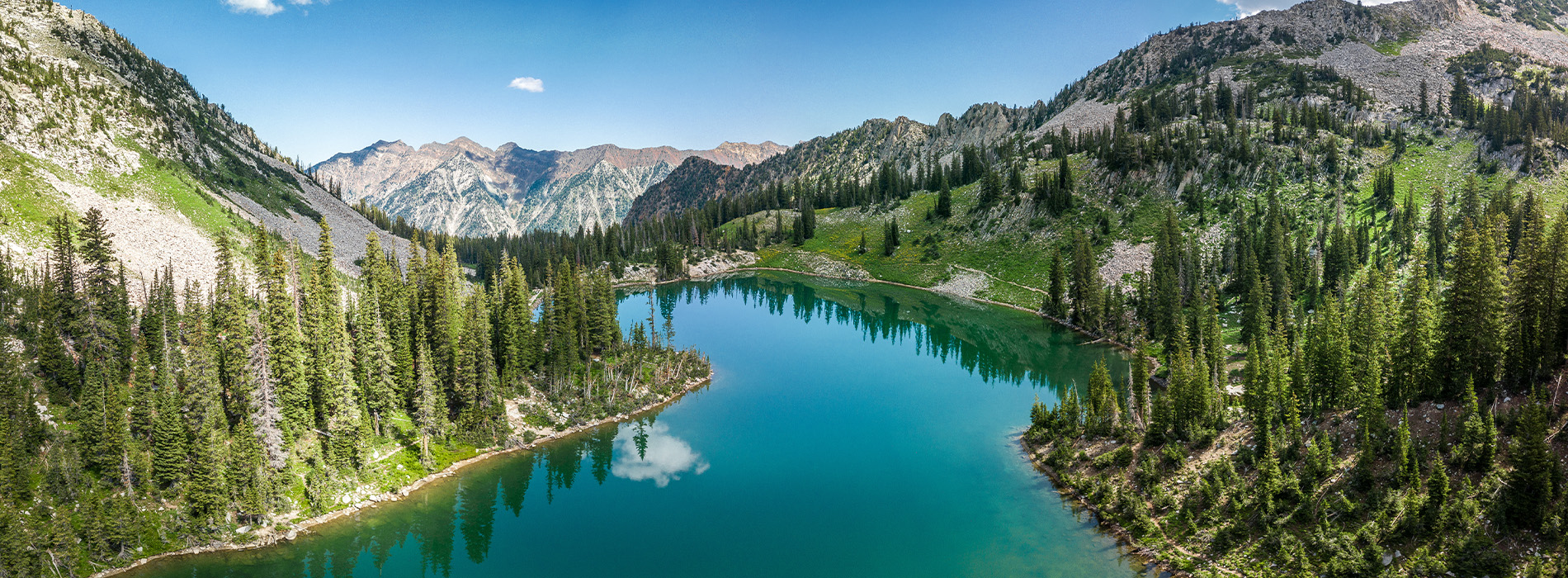 Mountain View Eye Center | Anti-VEGF Injections, Glaucoma and Complete Eye Examinations